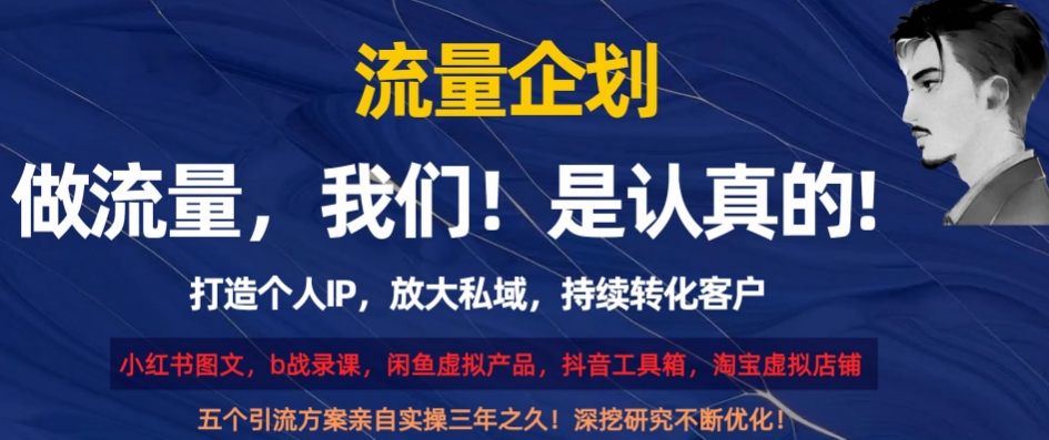 流量企划，打造个人IP，放大私域，持续转化客户【揭秘】-副业资源站