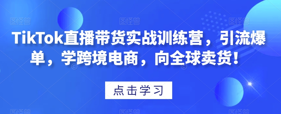 TikTok直播带货实战训练营，引流爆单，学跨境电商，向全球卖货！-副业资源站