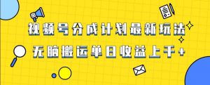 视频号最新爆火赛道玩法，只需无脑搬运，轻松过原创，单日收益上千【揭秘】-副业资源站
