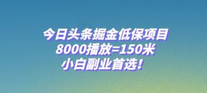 今日头条掘金低保项目，8000播放=150米，小白副业首选【揭秘】-副业资源站