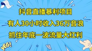 抖音直播暴利项目，有人30小时收入36万音浪，公司宣传片年会视频制作，抓住年底一波流量大红利【揭秘】-副业资源站