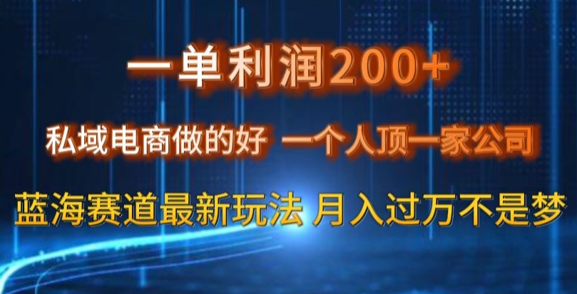 一单利润200私域电商做的好，一个人顶一家公司蓝海赛道最新玩法【揭秘】-副业资源站