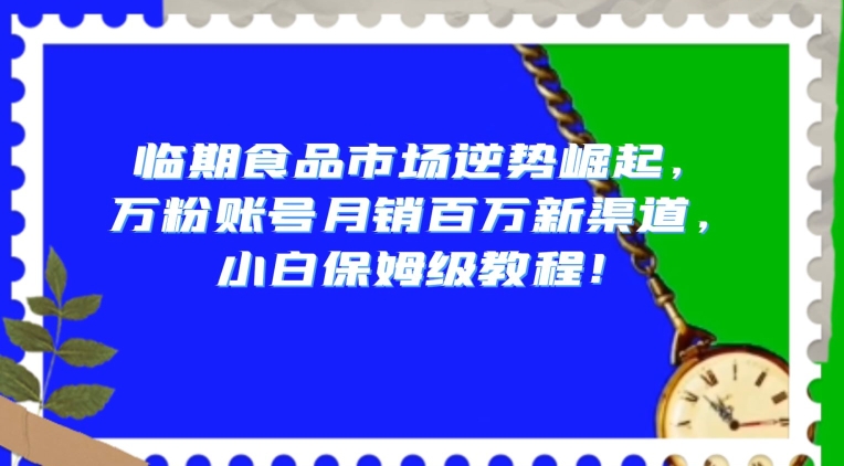 临期食品市场逆势崛起，万粉账号月销百万新渠道，小白保姆级教程【揭秘】-副业资源站