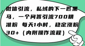 怎么搞精准创业粉？微信新赛道，每天一小时，利用Ai一个问答日引100精准粉-副业资源站