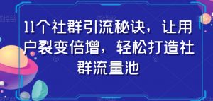 11个社群引流秘诀，让用户裂变倍增，轻松打造社群流量池-副业资源站