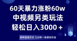 60天暴力涨粉60W，中视频另类玩法，日入3000＋，几分钟一条原创作品多种变现方式-副业资源站