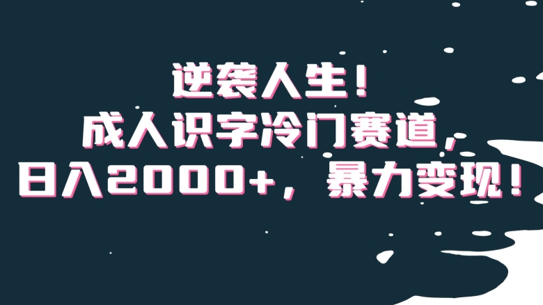 逆袭人生！成人识字冷门赛道，日入2000+，暴力变现！【揭秘】-副业资源站