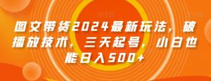 图文带货2024最新玩法，破播放技术，三天起号，小白也能日入500+【揭秘】-副业资源站