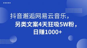 抖音邂逅网易云音乐，另类文案4天狂吸5W粉，日赚1000+【揭秘】-副业资源站