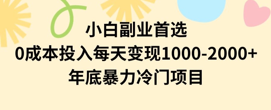 小白副业首选，0成本投入，每天变现1000-2000年底暴力冷门项目【揭秘】-副业资源站