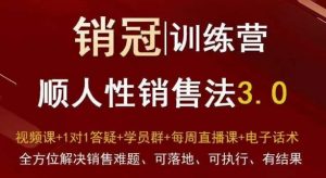 爆款!销冠训练营3.0之顺人性销售法,全方位解决销售难题、可落地、可执行、有结果-副业资源站