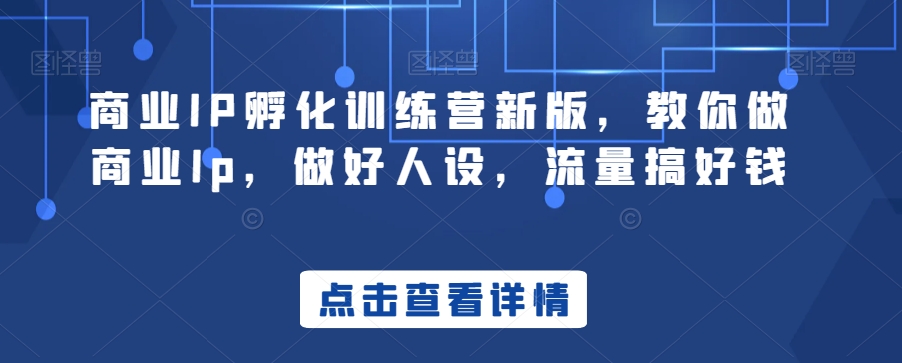 商业IP孵化训练营新版，教你做商业Ip，做好人设，流量搞好钱-副业资源站