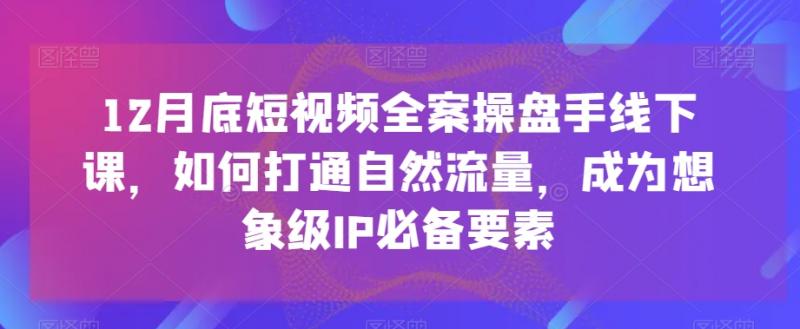 12月底短视频全案操盘手线下课，如何打通自然流量，成为想象级IP必备要素-副业资源站