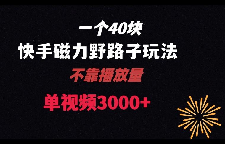 一个40块，快手联合美团磁力新玩法，无视机制野路子玩法，单视频收益4位数【揭秘】-副业资源站