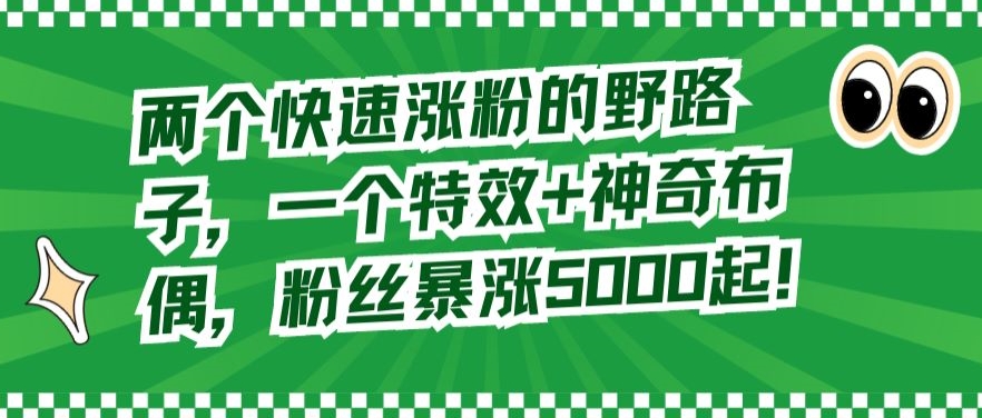 两个快速涨粉的野路子，一个特效+神奇布偶，粉丝暴涨5000起【揭秘】-副业资源站