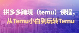 拼多多跨境（temu）课程，从Temu小白到玩转Temu-副业资源站