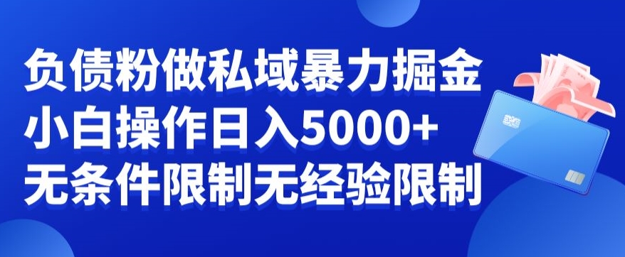 负债粉私域暴力掘金，小白操作入5000，无经验限制，无条件限制【揭秘】-副业资源站