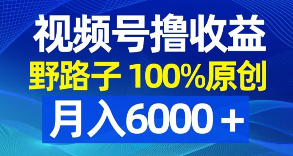 视频号野路子撸收益，100%原创，条条爆款，月入6000＋【揭秘】-副业资源站