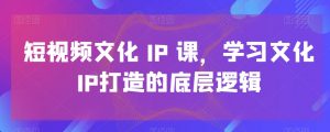 短视频文化IP课,学习文化IP打造的底层逻辑-副业资源站