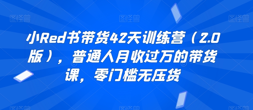 小Red书带货42天训练营（2.0版），普通人月收过万的带货课，零门槛无压货-副业资源站