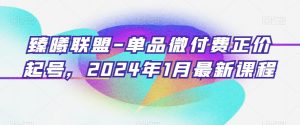 臻曦联盟-单品微付费正价起号，2024年1月最新课程-副业资源站