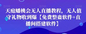 天庭蟠桃会无人直播教程，无人值守礼物收到爆【免费整蛊软件+直播间搭建软件】-副业资源站