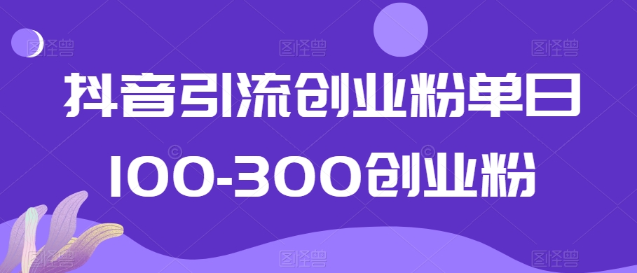 抖音引流创业粉单日100-300创业粉【揭秘】-副业资源站