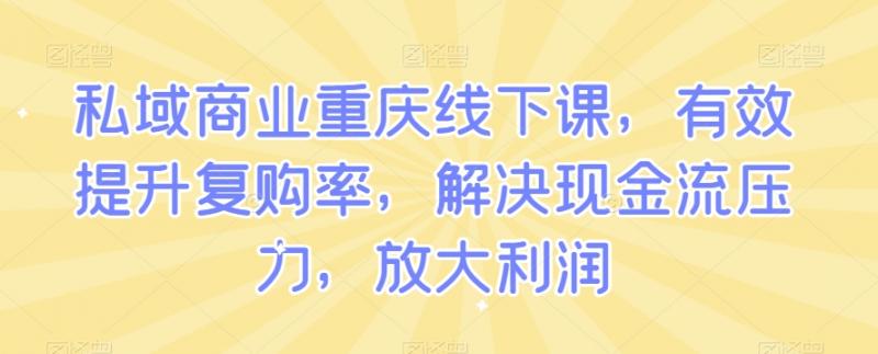 私域商业重庆线下课，有效提升复购率，解决现金流压力，放大利润-副业资源站