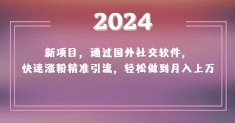 2024新项目，通过国外社交软件，快速涨粉精准引流，轻松做到月入上万【揭秘】-副业资源站