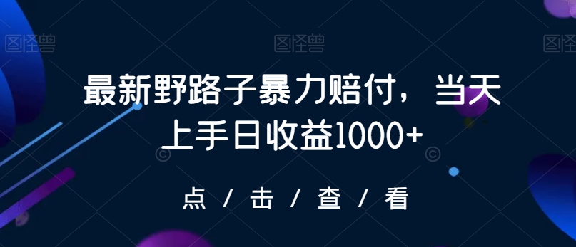 最新野路子暴力赔付，当天上手日收益1000+【仅揭秘】-副业资源站