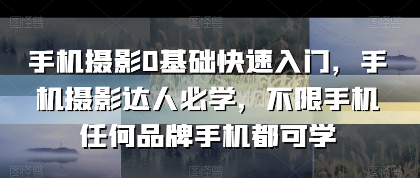 手机摄影0基础快速入门，手机摄影达人必学，不限手机任何品牌手机都可学-副业资源站