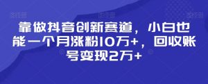 靠做抖音创新赛道，小白也能一个月涨粉10万+，回收账号变现2万+【揭秘】-副业资源站