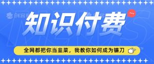 2024最新知识付费项目，小白也能轻松入局，全网都在教你做项目，我教你做镰刀【揭秘】-副业资源站