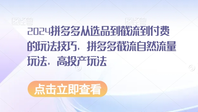 2024拼多多从选品到截流到付费的玩法技巧，拼多多截流自然流量玩法，高投产玩法-副业资源站