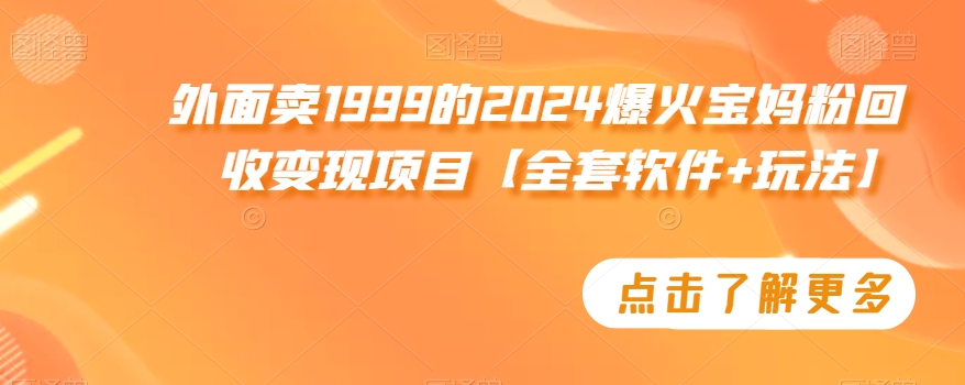 外面卖1999的2024爆火宝妈粉回收变现项目【全套软件+玩法】【揭秘】-副业资源站