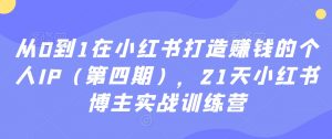 从0到1在小红书打造赚钱的个人IP（第四期），21天小红书博主实战训练营-副业资源站