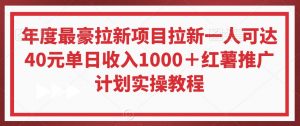 年度最豪拉新项目拉新一人可达40元单日收入1000+红薯推广计划实操教程【揭秘】-副业资源站