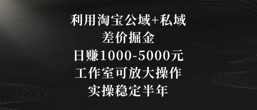 利用淘宝公域+私域差价掘金，日赚1000-5000元，工作室可放大操作，实操稳定半年【揭秘】-副业资源站