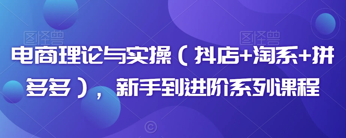 电商理论与实操（抖店+淘系+拼多多），新手到进阶系列课程-副业资源站