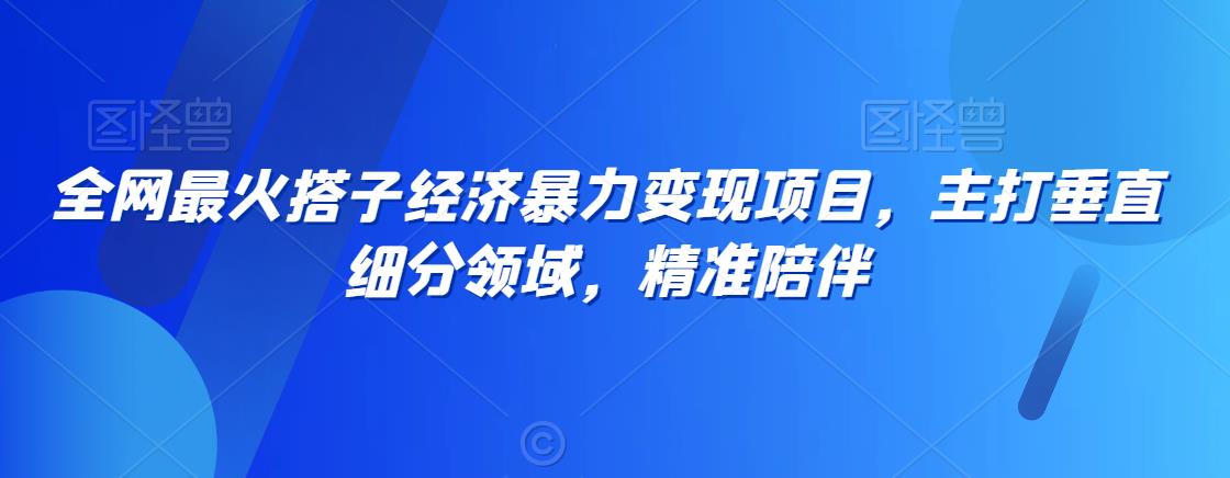 全网最火搭子经济暴力变现项目，主打垂直细分领域，精准陪伴【揭秘】-副业资源站