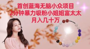 首创蓝海无脑小众项目，2分钟暴力吸粉小姐姐富太太，月入几十万【揭秘】-副业资源站