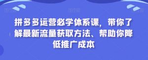 拼多多运营必学体系课，带你了解最新流量获取方法、帮助你降低推广成本-副业资源站