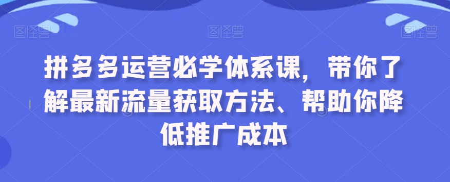 拼多多运营必学体系课，带你了解最新流量获取方法、帮助你降低推广成本-副业资源站