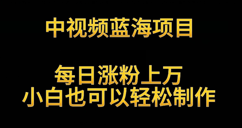 中视频蓝海项目，解读英雄人物生平，每日涨粉上万，小白也可以轻松制作，月入过万不是梦【揭秘】-副业资源站