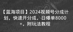 【蓝海项目】2024视频号分成计划，快速开分成，日爆单8000+，附玩法教程-副业资源站