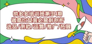 拼多多培训班第34期：做高价女装必盈利剖析选品/测款/运营/推广/拓展-副业资源站