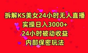 利用快手24小时无人美女直播，实操日入3000，24小时被动收益，内部保密玩法【揭秘】-副业资源站