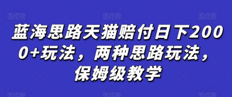 蓝海思路天猫赔付日下2000+玩法，两种思路玩法，保姆级教学【仅揭秘】-副业资源站