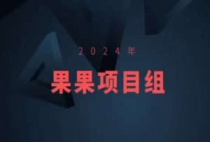 2024年果果项目组项目合集-果果最新项目-副业资源站