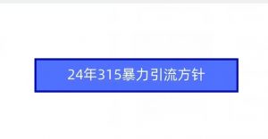 24年315暴力引流方针-副业资源站